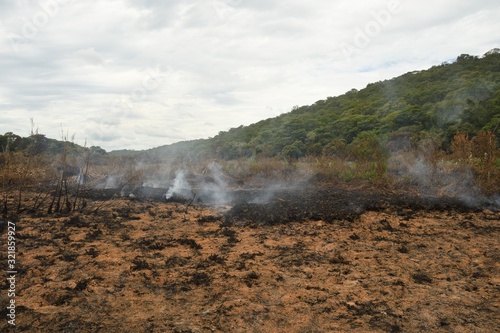 deforestation in the Pantanal