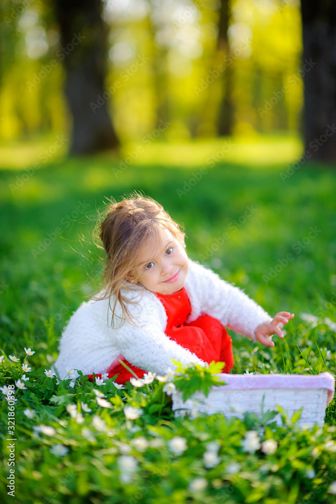 Happy little girl in her dress picks flowers in the park at sunset. Children relax and play outdoors. Childhood. Happy little girl in her dress picks flowers in the park at sunset. Children relax and play outdoors. Childhood.