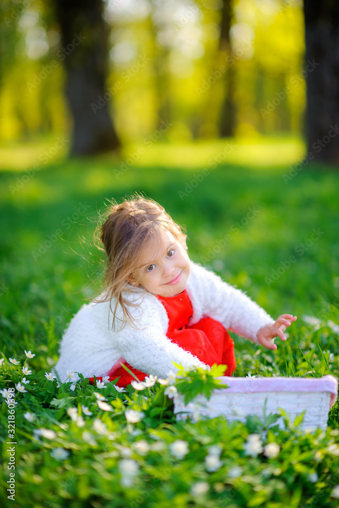 Happy little girl in her dress picks flowers in the park at sunset. Children relax and play outdoors. Childhood.