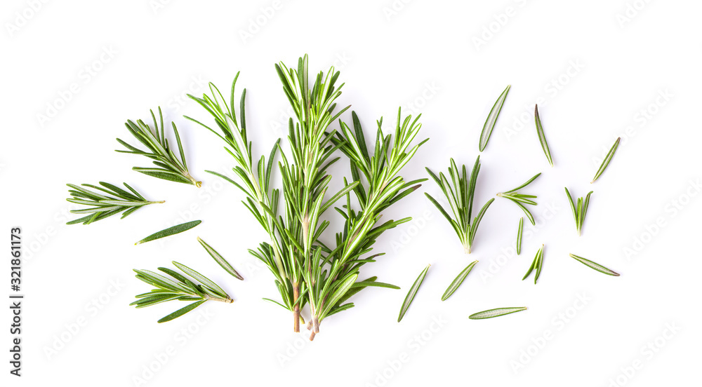 Fototapeta premium Rosemary isolated on white background