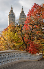 Bow Bridge Central Park in fall