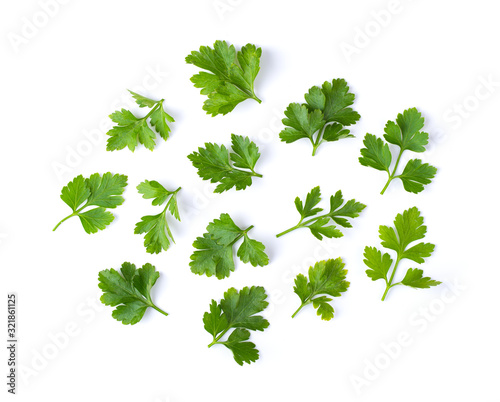Parsley on a white background. top view