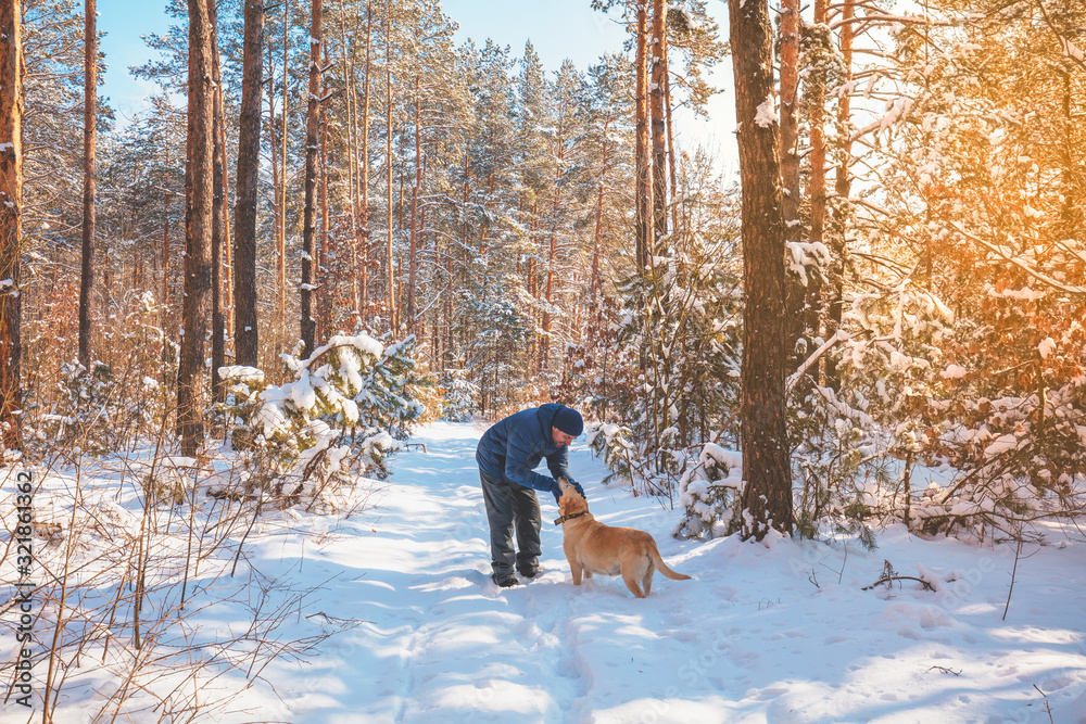 Man and dog are best friends. A man and a dog are walking along a road in a snowy forest on a winter sunny day
