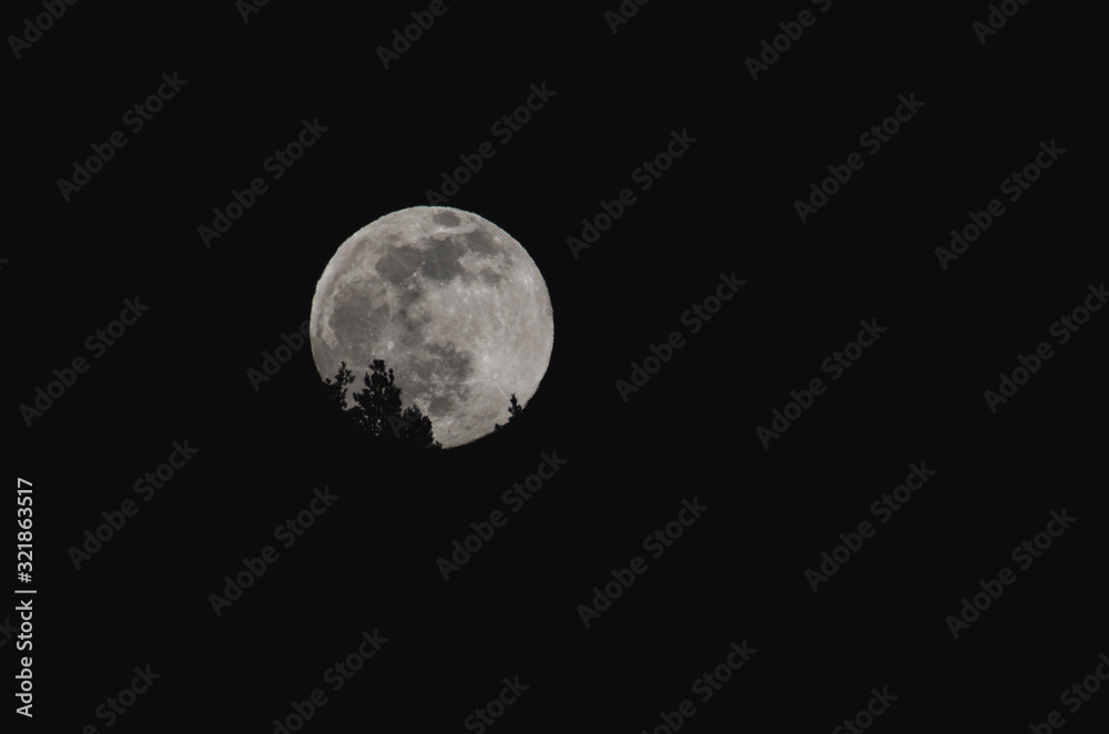 Obraz premium Moon 
