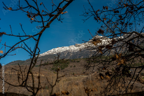 mountain panorama in the background with trees and forest in the foreground