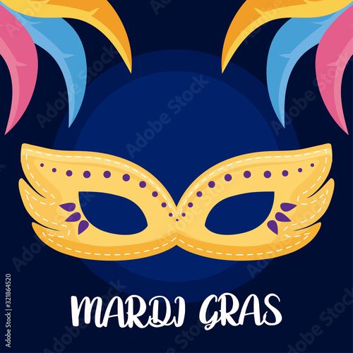 Mardi gras mask with feathers vector design