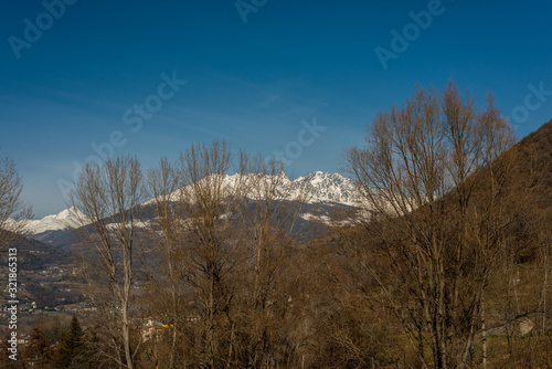 mountain panorama in the background with trees and forest in the foreground