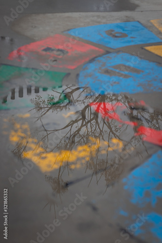 Trees on the ground. Trees reflecting on a water mud in a lonely child park after raining