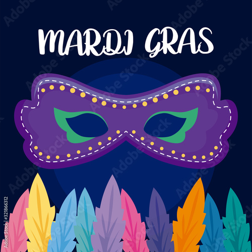 Mardi gras mask with feathers vector design