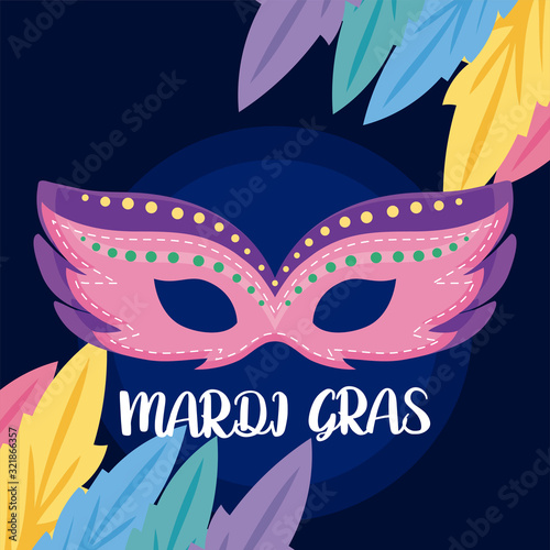 Mardi gras mask with feathers vector design