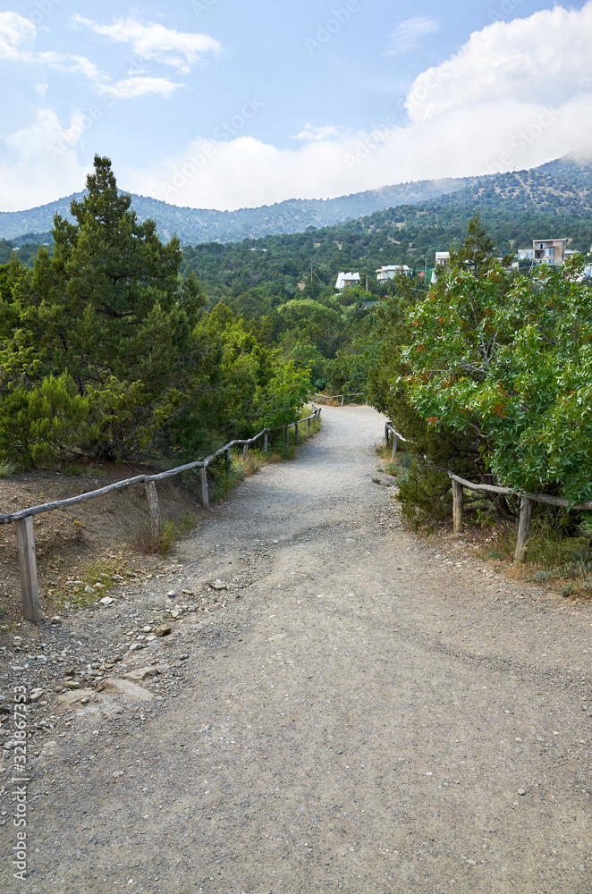 Alley and vegetation in the New World Botanical Reserve, Crimea