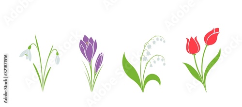 spring flower set. flower design element. hand drawn crocus, snowdrop, tulip and lily of the valley
