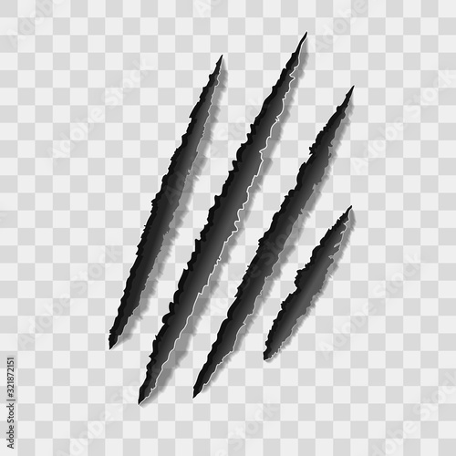 Realistic 3d Detailed Claw Marks or Scratches Set. Vector