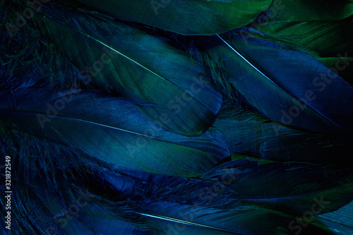 Neon glowing feathers of a bird background. Flat lay. © vetre