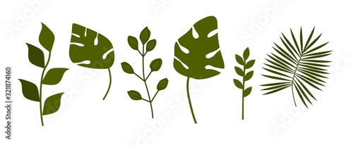 Collection of leaves. Set of vector design