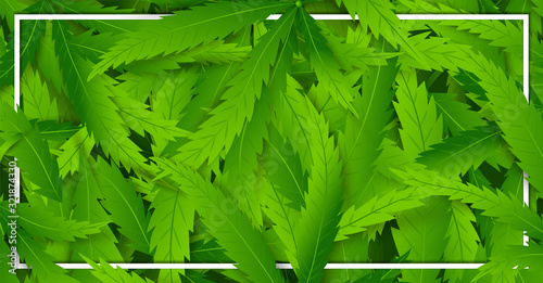 Poster with hemp plant