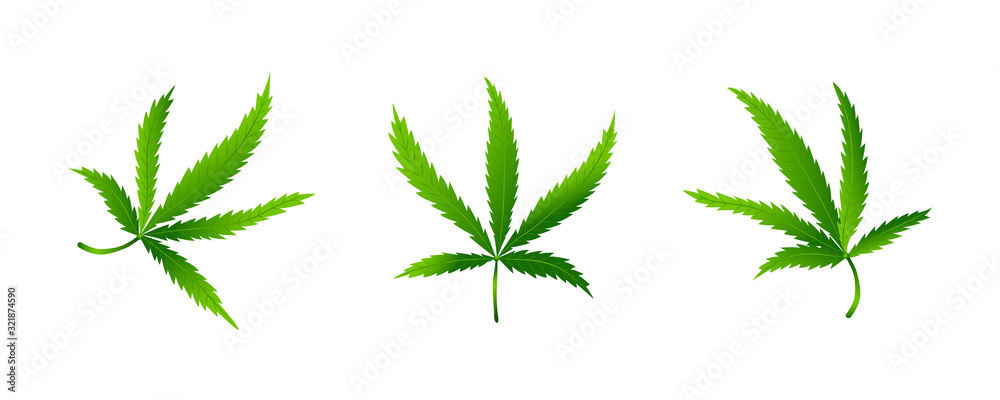 Set of cannabis or marijuana leaf