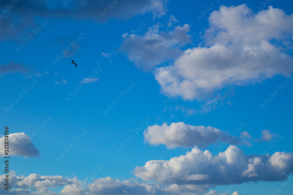 colorful cloudy view at the blue sky from the beach colorful cloudy view at the blue sky from the beach