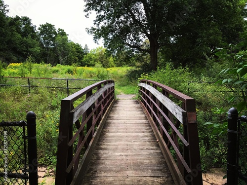 wooden bridge in forest