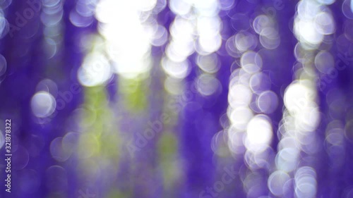 abstract bokek lights background