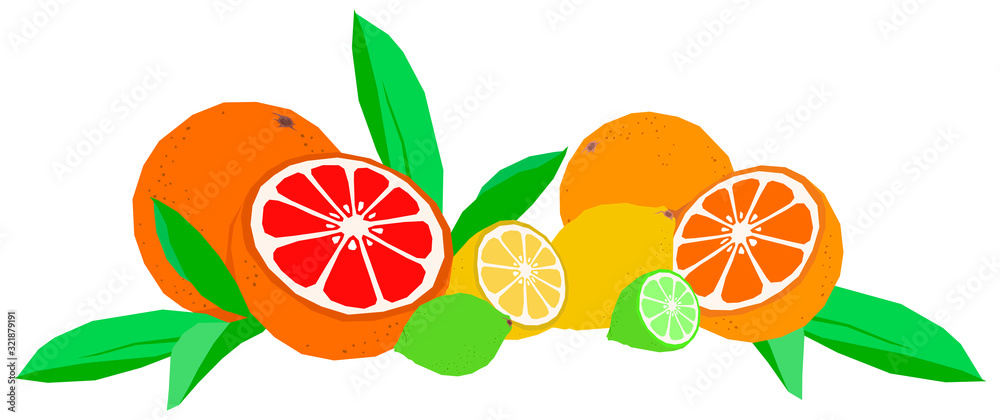 Fruit citrus collection orange lemon grapefruit lime with leaves flat isolated vector horizontal illustration Fruit citrus collection orange lemon grapefruit lime with leaves flat isolated vector horizontal illustration
