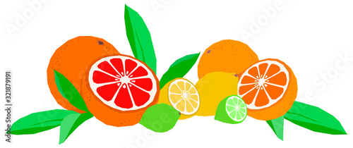 Fruit citrus collection orange lemon grapefruit lime with leaves flat isolated vector horizontal illustration