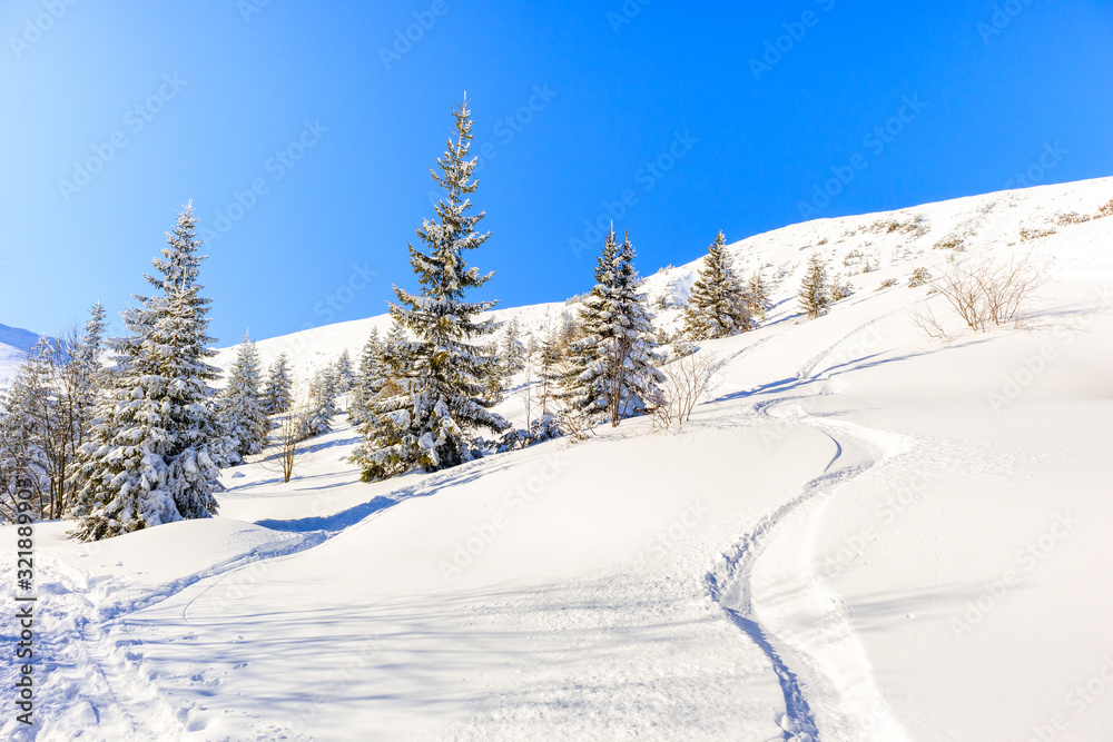 Trees in beautiful winter landscape of Gasienicowa valley after fresh snowfall, Tatra Mountains, Poland