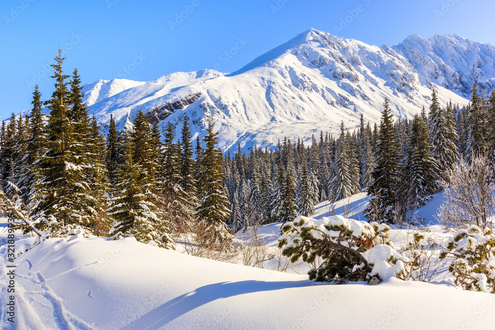 View of beautiful peaks covered by fresh snow in Gasienicowa valley, Tatra Mountains, Poland