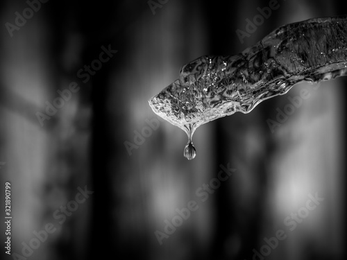Blck and white image of melting ice with water drop on blurry background, Close up