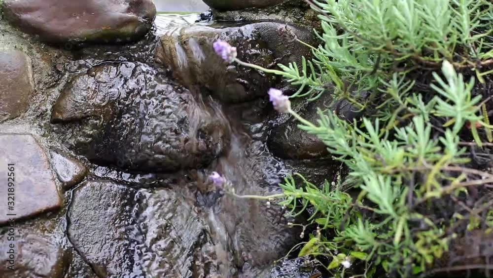Cascatinha e flores de lavanda