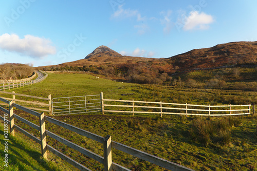 Connemara park on a sunny day with wooden fences, blue sky and mountain in the background. Golden green, brown and blue colors