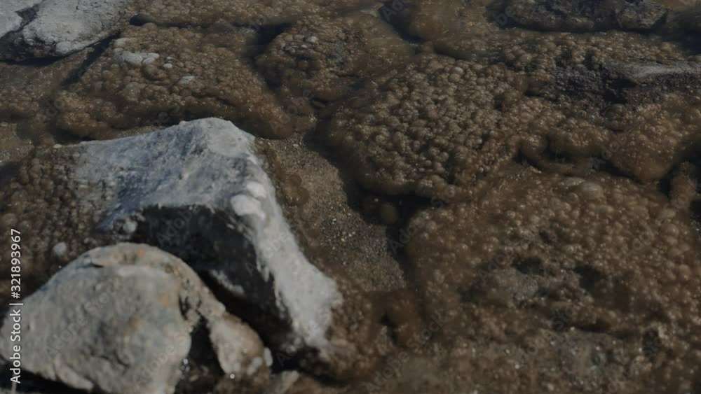 through the clear water, a brown rocky bottom, covered with many bubbles, is visible through the clear water, a brown rocky bottom, covered with many bubbles, is visible