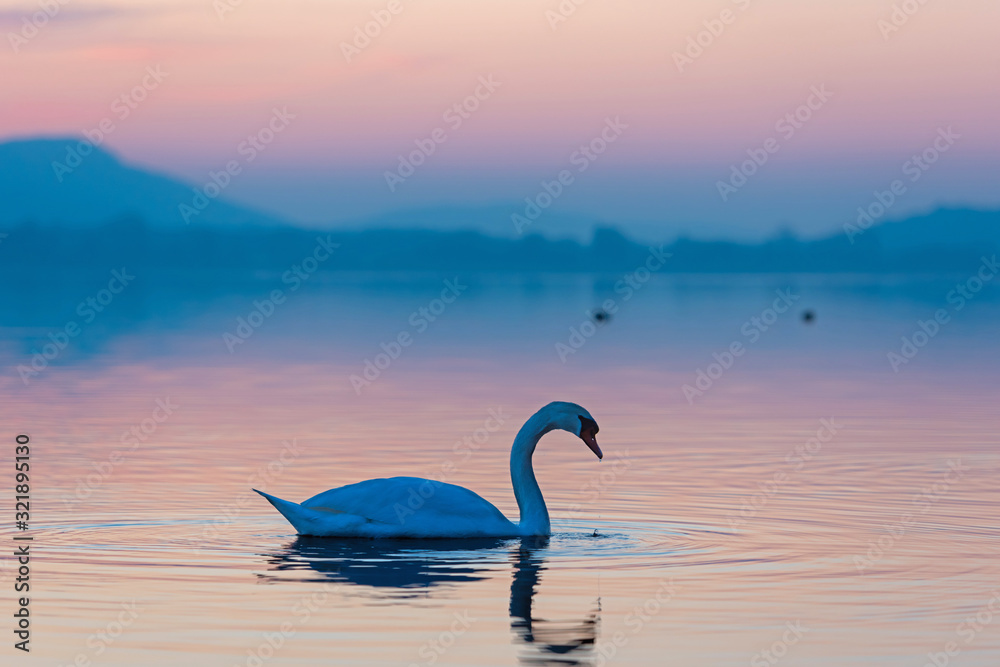 Fototapeta premium Radolfzell – Sonnenuntergang über dem Bodensee