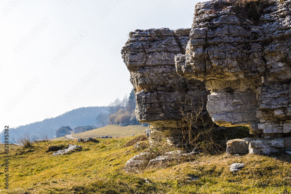 Rock monoliths in the park during summer - Image