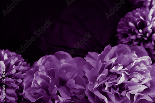 Beautiful abstract color blue and purple flowers on black background and blue graphic flower frame and pink leaves texture, purple background, colorful graphics banner happy valentine day