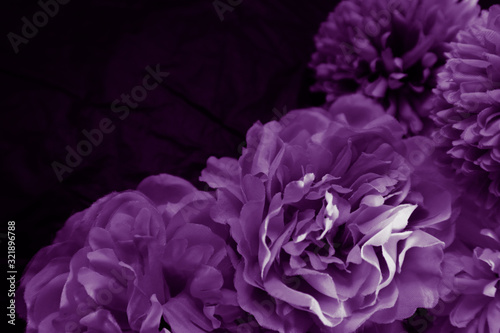 Beautiful abstract color blue and purple flowers on black background and blue graphic flower frame and pink leaves texture, purple background, colorful graphics banner happy valentine day