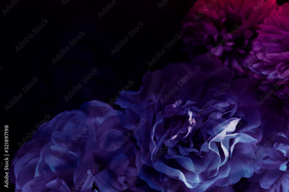 Beautiful abstract color blue and purple flowers on black background and blue graphic flower frame and pink leaves texture, purple background, colorful graphics banner happy valentine day Beautiful abstract color blue and purple flowers on black background and blue graphic flower frame and pink leaves texture, purple background, colorful graphics banner happy valentine day