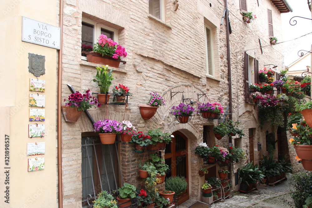 colorful flowers on wall of home in medieval town
