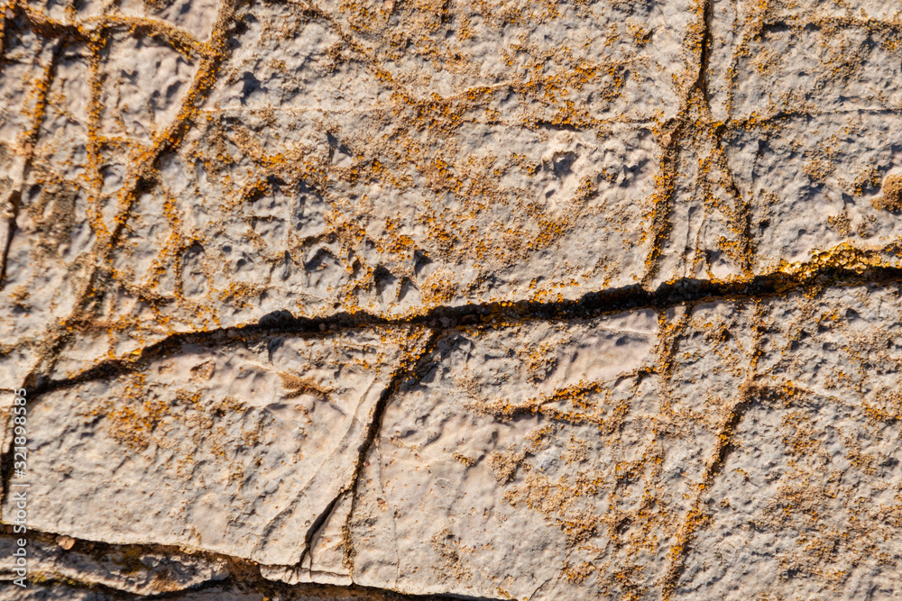 Stone background texture. Rock natural textures. Stone background texture. Rock natural textures.