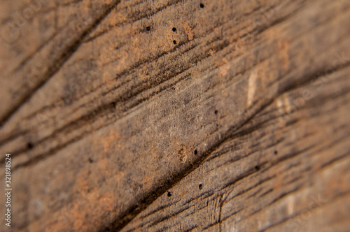 wood texture background
