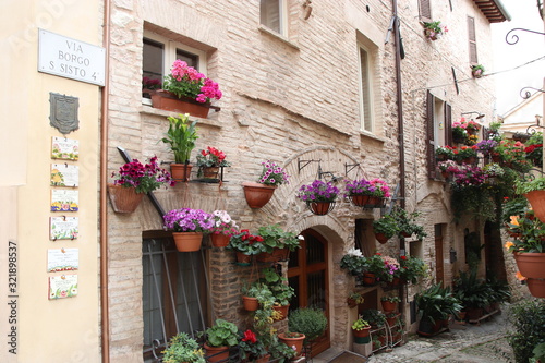 colorful flowers on wall of home in medieval town © Renato