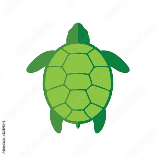Sea turtle icon. Vector illustration isolated o white background