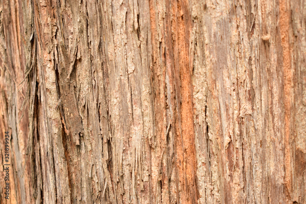 Natural Tree Bark Peeled Texture Background Image