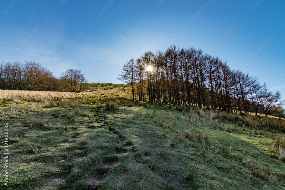 Fototapeta premium Paisajes del entorno de adarramendi, Pais Vasco, Urnieta Andoain