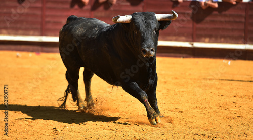 toro español en una plaza de toros