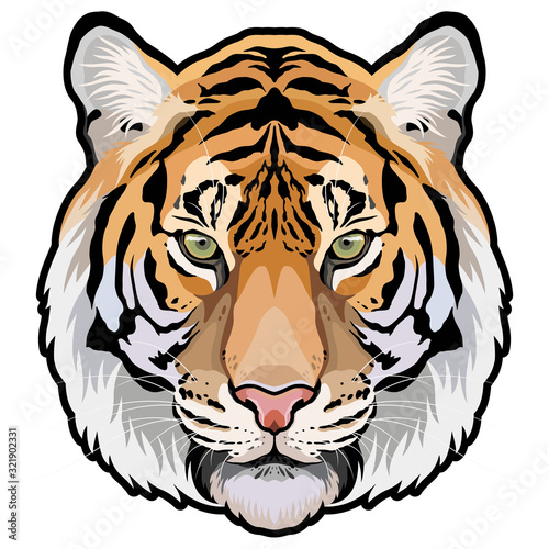 Tiger head front isolated colored vector illustration