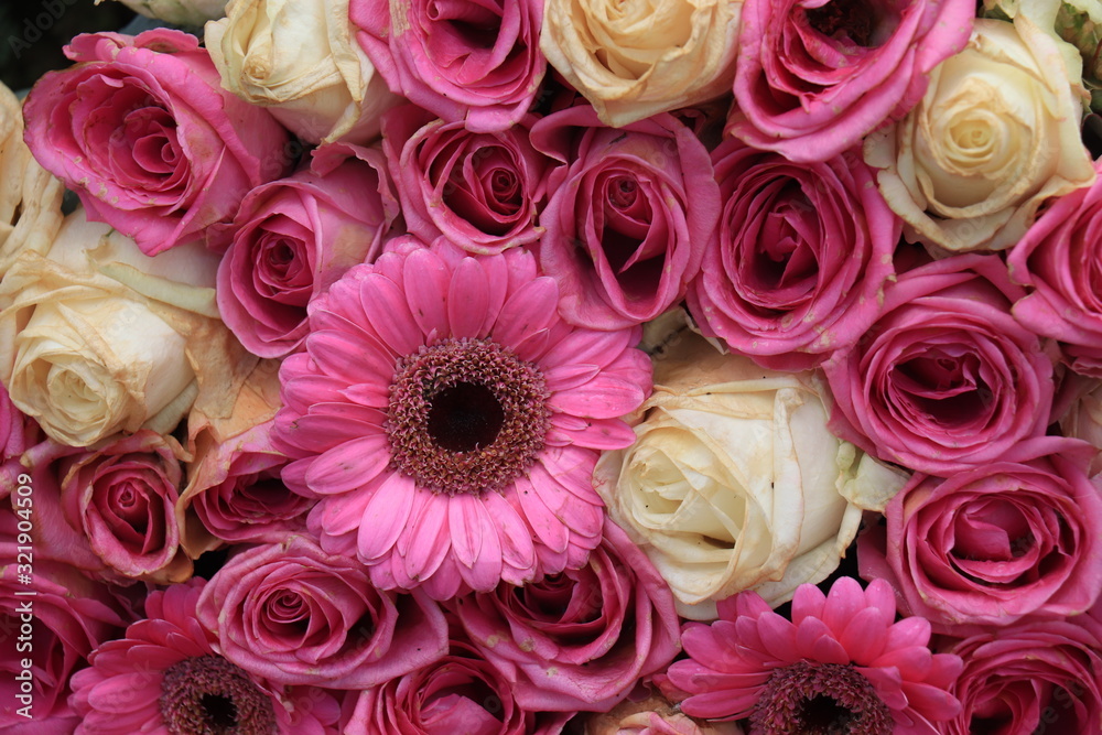 Fototapeta premium Pink gerbera and rose arrangement