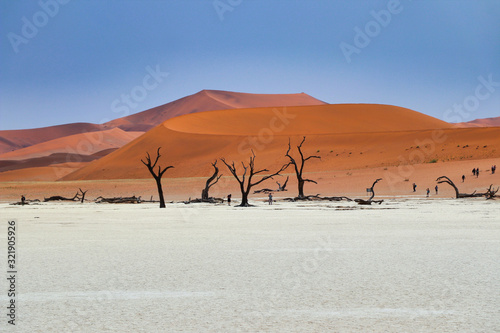 Dead Vlei  Namib-Naukluft Park  - Namibia Africa