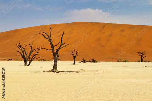 Dead Vlei  Namib-Naukluft Park  - Namibia Africa