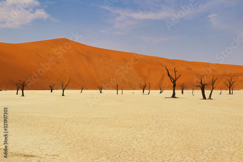 Dead Vlei (Namib-Naukluft Park) - Namibia Africa
